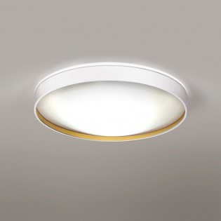 Ceiling Flush Light Alina
