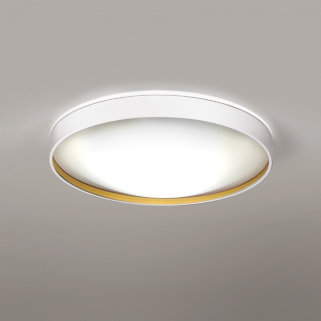 Ceiling Flush Light Alina