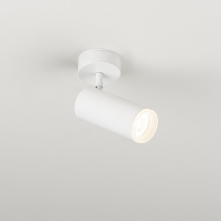 Adjustable Ceiling Spotlight Haul