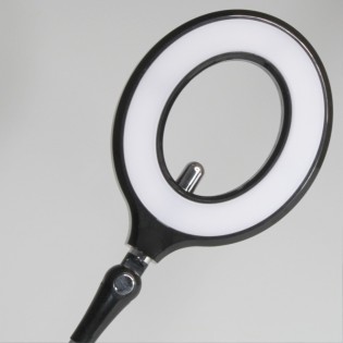 Flexo LED orientable Bil (10W)