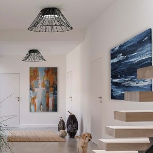 Plafón de techo Bimba