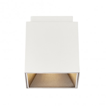 Ceiling Flush Light Ethan