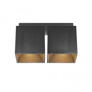 Ceiling Flush Light Ethan (2 lights)