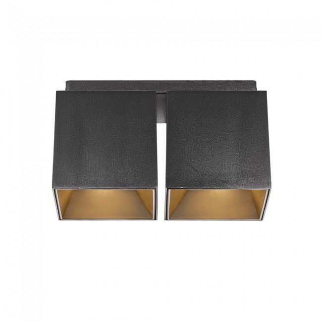 Ceiling Flush Light Ethan (2 lights)