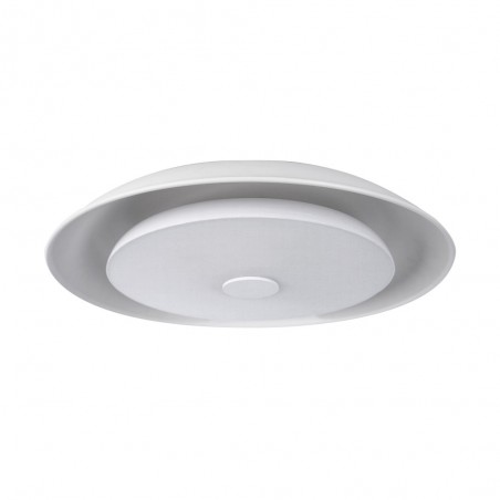 LED Flush light with speaker Farg (36W)