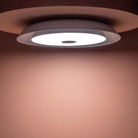 LED Flush light with speaker Farg (36W)