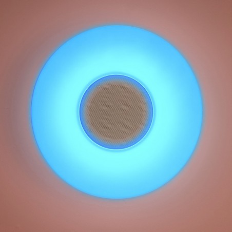 LED Flush light with speaker Farg (36W)