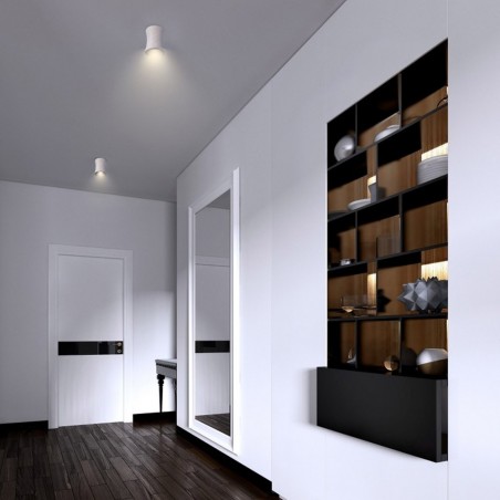 Ceiling Flush Light Areia