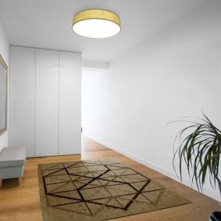 LED Ceiling Flush Light Moon (33W)