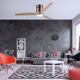 LED Ceiling Fan Won (15W)