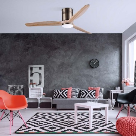 LED Ceiling Fan Won (15W)