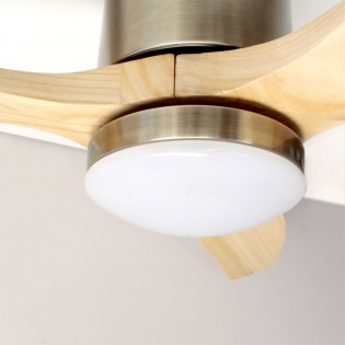 Ventilador de techo LED Won (15W)
