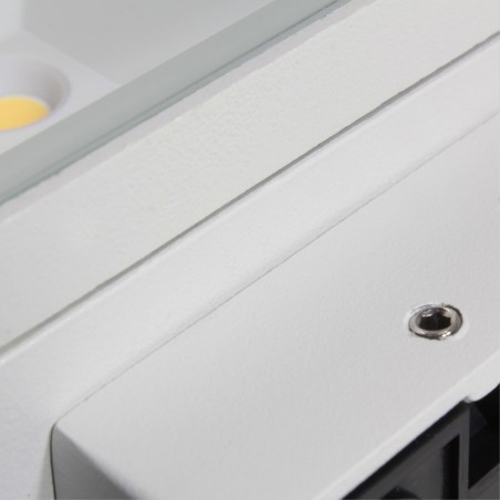 Outdoor LED Wall Lamp Torino (2x6W)