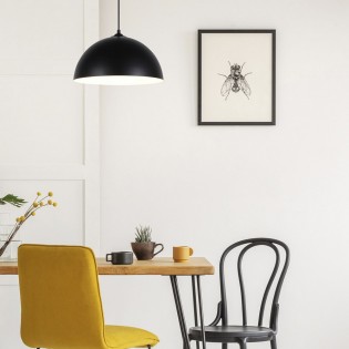 Ceiling Lamp Icone