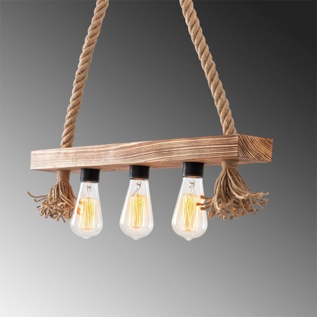 Pendant Track Light Gentry (3 lights)