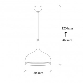 Ceiling Lamp Harvey 30 Black