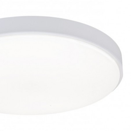 Plafón de techo Led Bertie (30W)