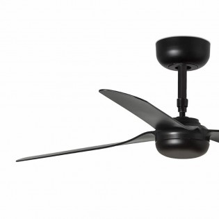 Ceiling Fan Punt