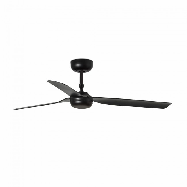 Ceiling Fan Punt