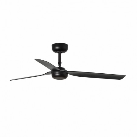 Ceiling Fan Punt