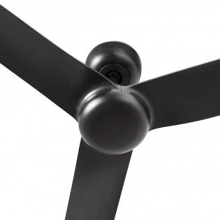 Ceiling Fan Punt