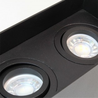 Surface spotlight Classic Black (2 lights)