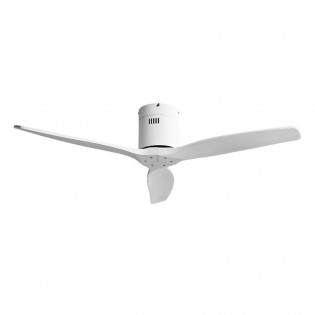 Ventilador de techo Aguilon