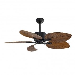 Ventilador de techo Led Colla (24W)