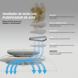 LED fan with air purifier Brisa CCT (36W)