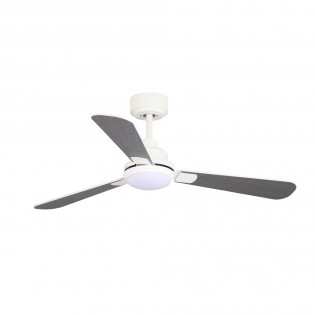 LED fan with reversible blades Noe CCT (18W)